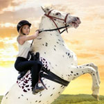 Белая лошадь