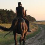 Конюшня в Керчи