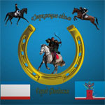 Сверкающие сёдла