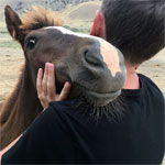 Ранчо «У дяди Вани»